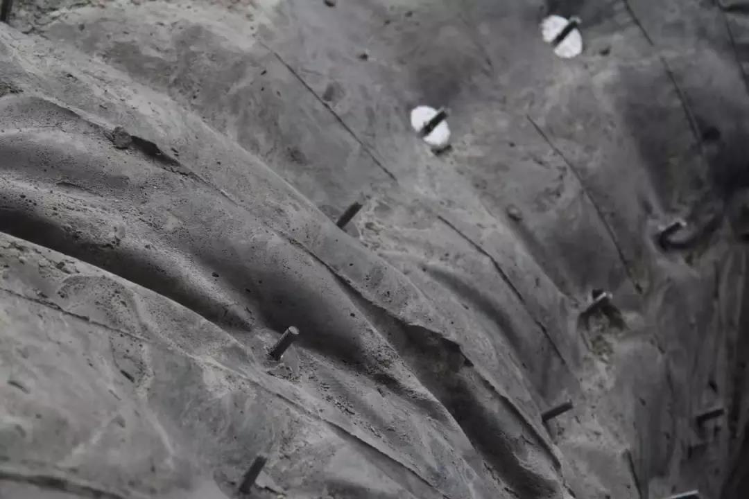 微信图片_20190731190554